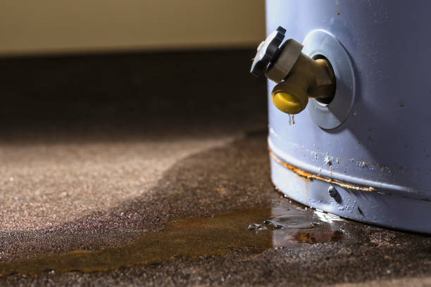 Best Professional water damage repair  in Nashville, IN