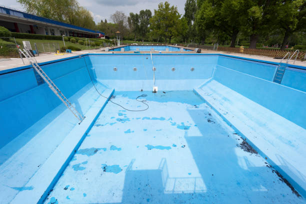 Best Sewage cleanup and water damage restoration  in Nashville, IN