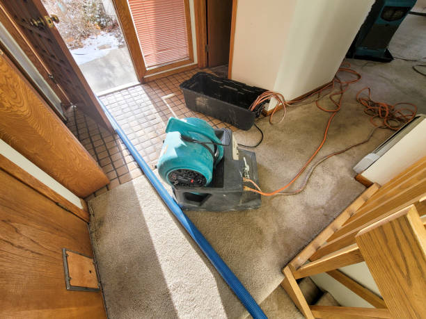Best Water damage cleanup near me  in Nashville, IN
