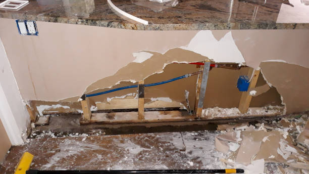 Best Water damage restoration experts  in Nashville, IN
