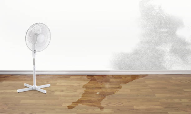 Sewage cleanup and water damage restoration in IN