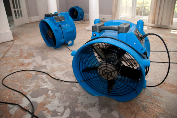 Best Emergency water damage restoration  in Nashville, IN
