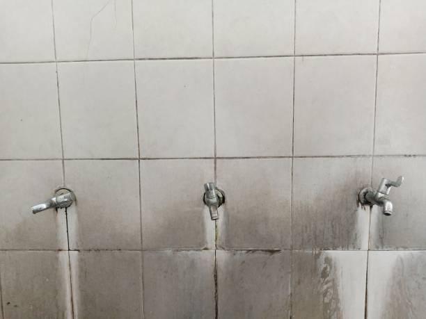 Best Ceiling water damage repair  in Nashville, IN