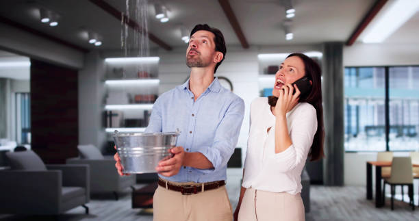 Best Water damage restoration specialists  in Nashville, IN